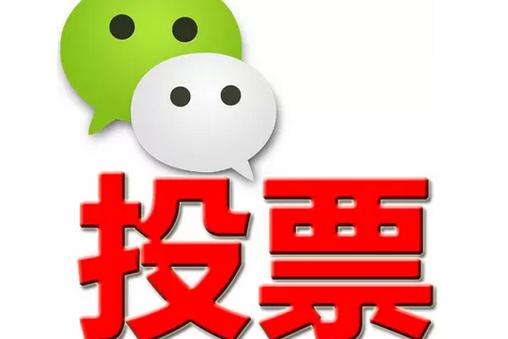 湘西土家族苗族自治州微信投票功能开发 上传图片投票